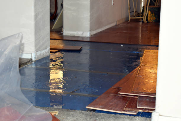 Professional Basement Water Removal technician working in Elgin, TX